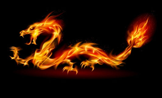 The fire dragon
