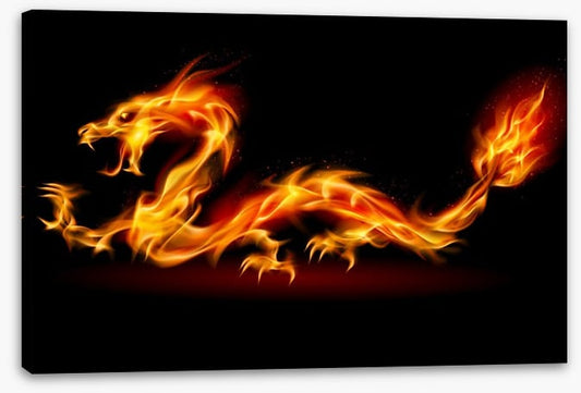 The fire dragon