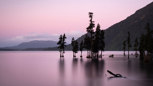 Lake Brunner blush