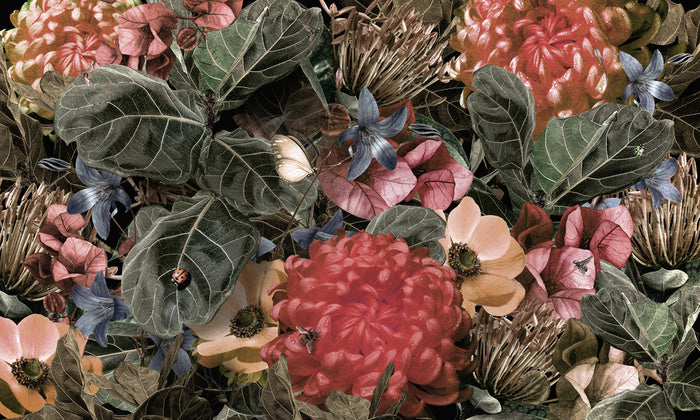 Life of the garden