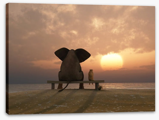 Together watching the sunset