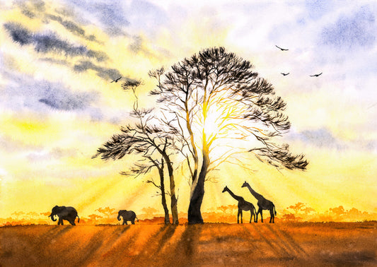 Sunbeam safari