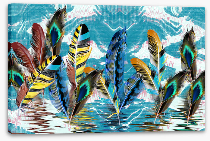 Floating feathers