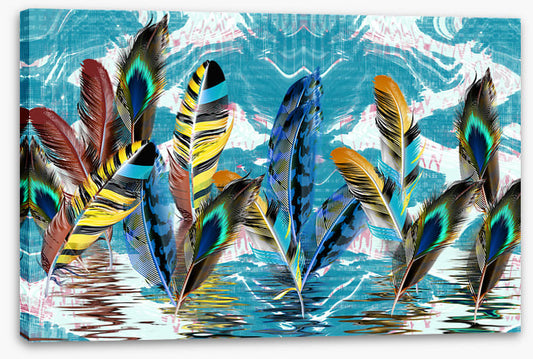 Floating feathers