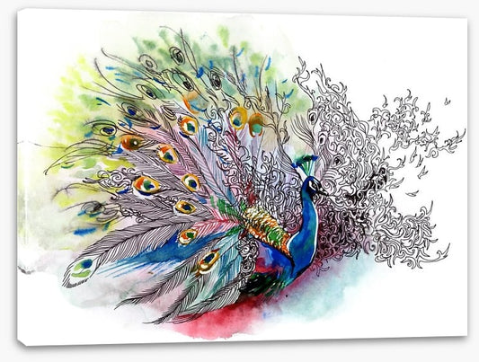 Peacock watercolour