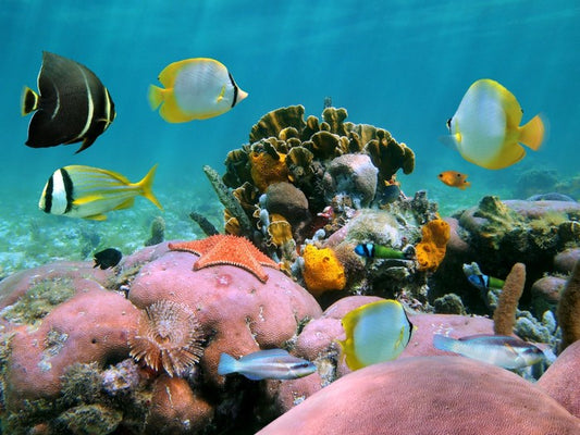 Underwater