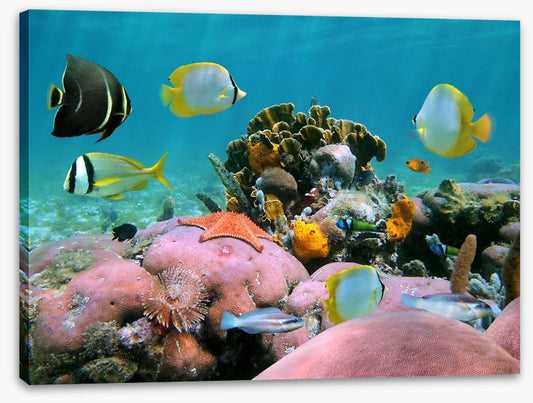 Underwater