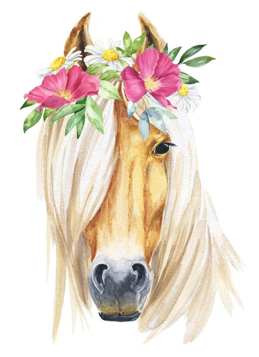 Show pony