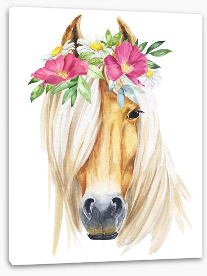Show pony