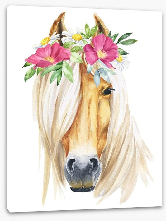 Show pony