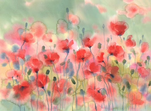Poppies in the rain