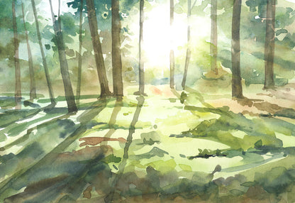 Forest of light I