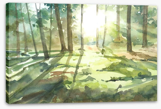 Forest of light I