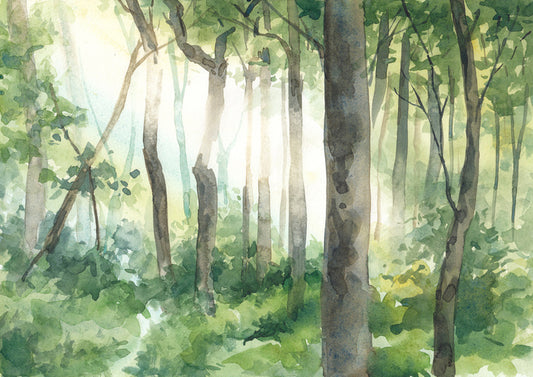 Forest of light II