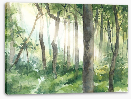 Forest of light II
