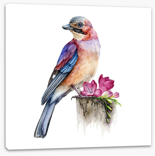 The jay bird perch