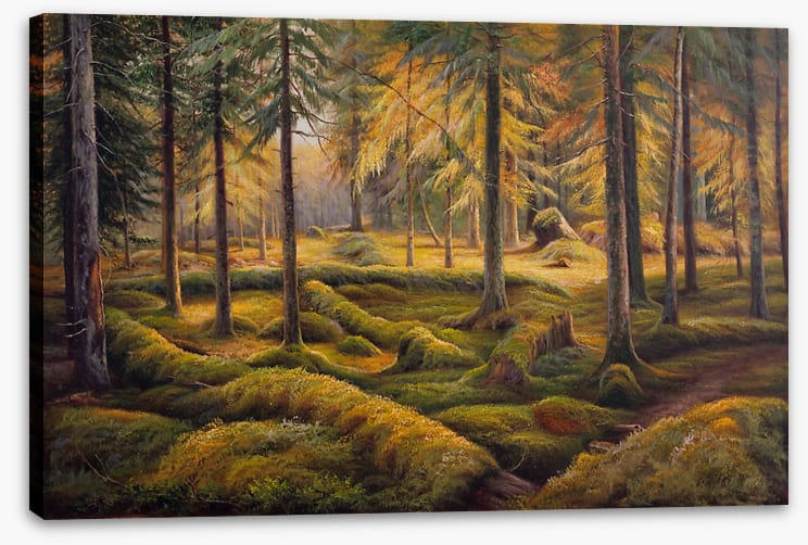 Way of the woods