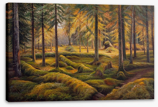 Way of the woods