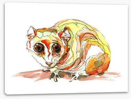 Pensive possum