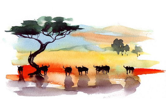 Cape buffalo sunset