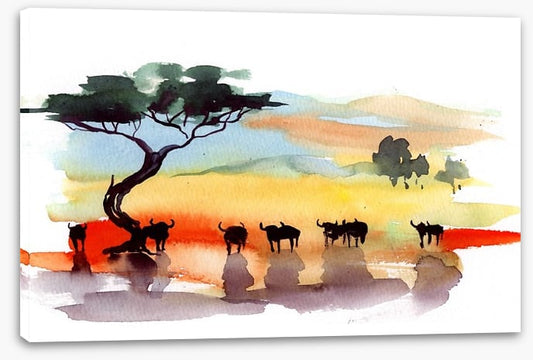 Cape buffalo sunset