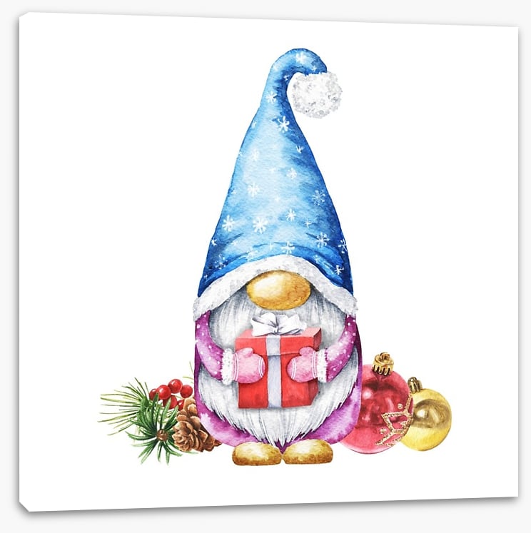Gnome for christmas I