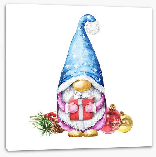 Gnome for christmas I