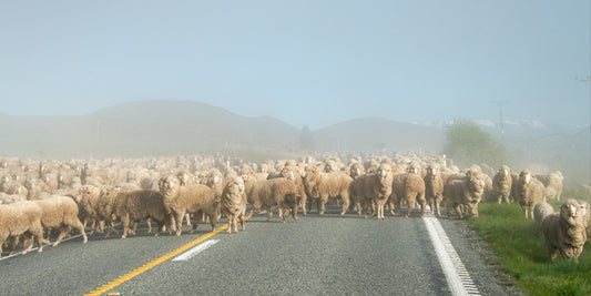 Monday morning gridlock