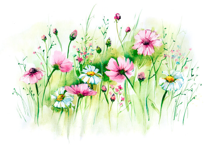 In the daisy grass