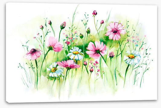 In the daisy grass