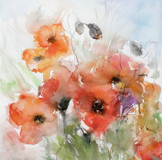 Watercolour poppies