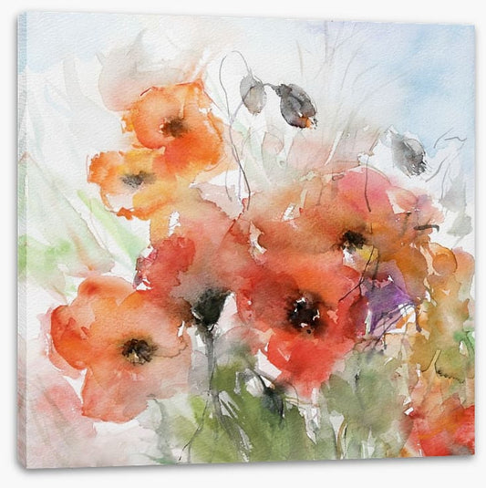 Watercolour poppies