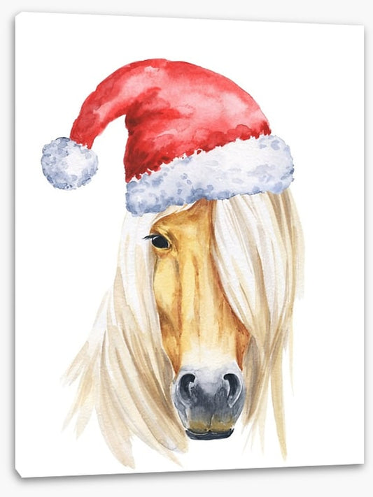 Filly christmas