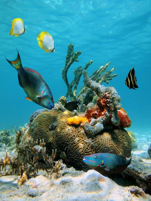 Underwater