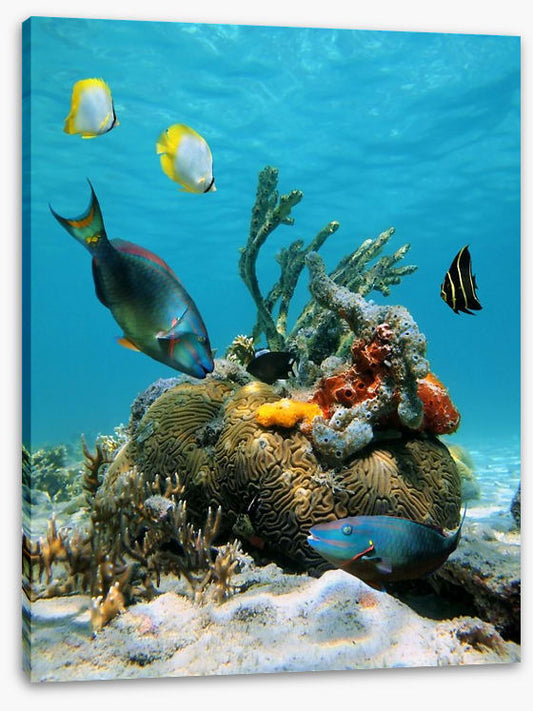 Underwater