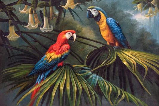 Jungle dream parrots