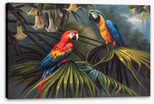 Jungle dream parrots