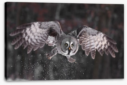 Great grey owl