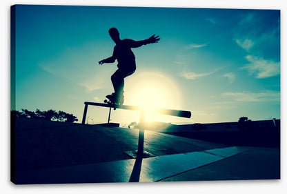Skateboarder silhouette