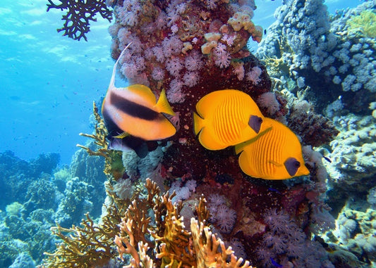 Underwater