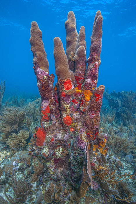 Underwater