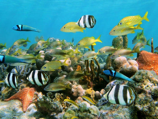 Underwater