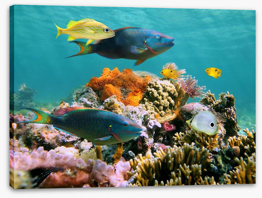 Underwater