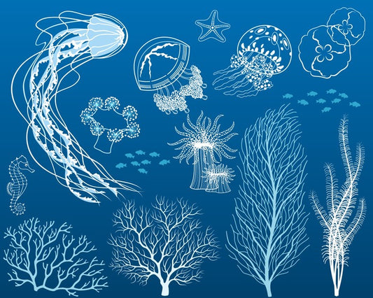 Dance of the jellyfish