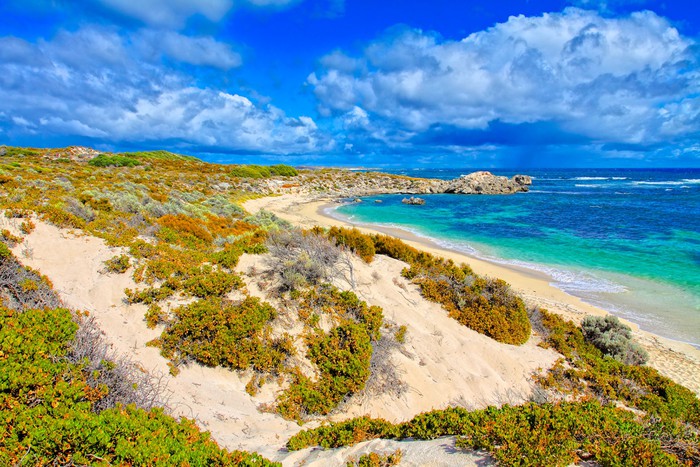 Rottnest island blues