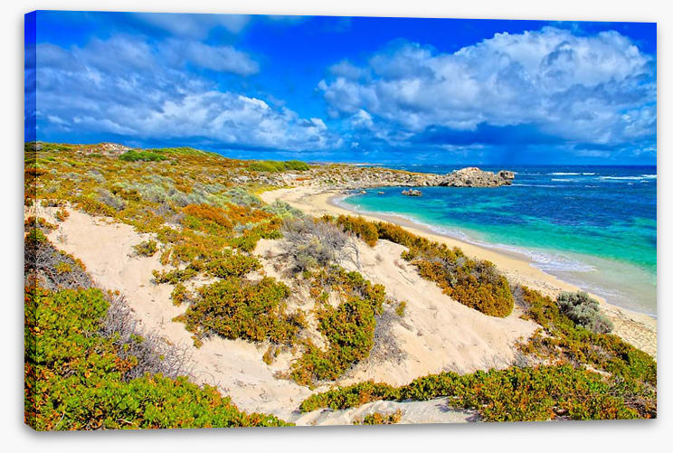 Rottnest island blues