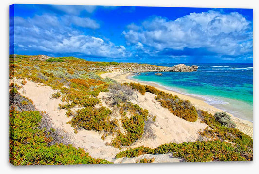 Rottnest island blues