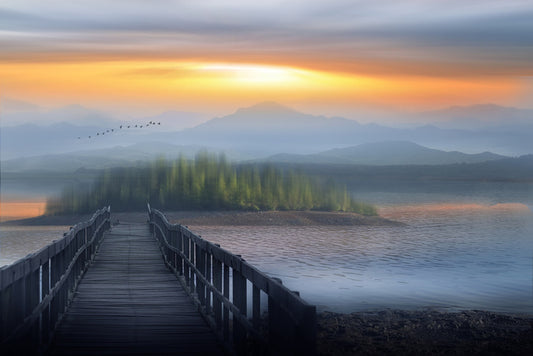 Into dreamland