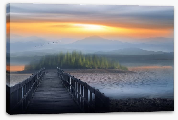 Into dreamland