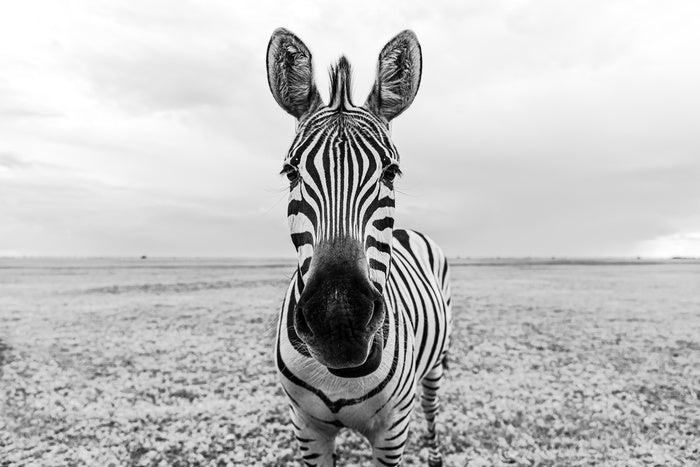 Face to face